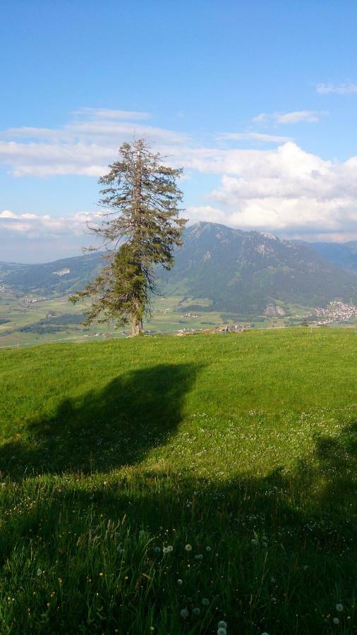 Ferienwohnung Schoenau Immenstadt im Allgäu Esterno foto